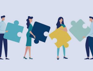 Teamwork and collaboration are key to success in the vet sector.