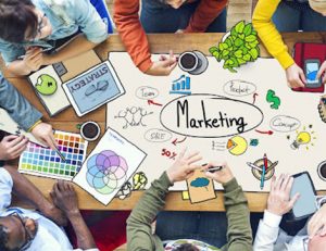 A team brainstorms marketing strategy while ensuring vet compliance.