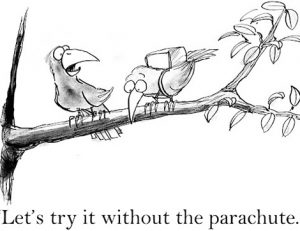 A cartoon illustrates the risk of proceeding without preparation in the vet sector.