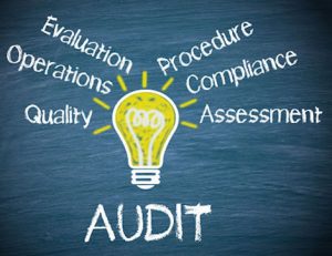 A graphic illustrates key elements of an audit for vet compliance, including quality and procedure.