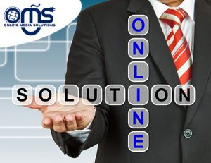 A professional demonstrates Online Media Solutions, highlighting digital marketing for the vet sector.